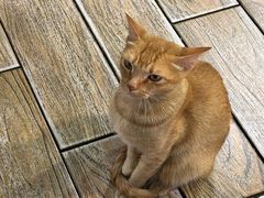 -Sasa的海(蜈支洲岛后海店)