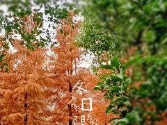 -狼山风景名胜区