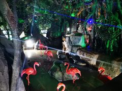 -泉城欧乐堡海洋极地世界