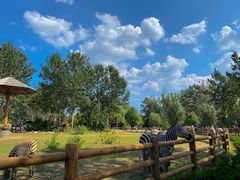 -大连森林动物园