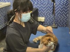 -瑞鹏宠物医院·内科·中兽医·骨科(苗圃店)