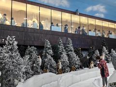 -世界之窗阿尔卑斯冰雪世界