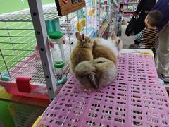 -三旗百汇商品城
