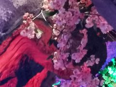 -青藤汗蒸时代会所