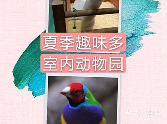 在这里，孩子们可以了解与体验到原始大自然奥秘的生态之