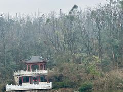 -岳麓山风景名胜区