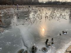 -前关湿地公园