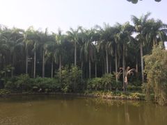 -滴水岩森林公园