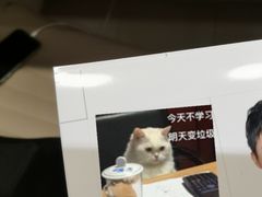 -天真蓝照相馆(龙岗万科里店)