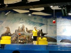 -梦幻海洋王国(吾悦广场张家港店)