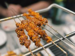 -鼎原力量东北吊炉烧烤(临河街店)