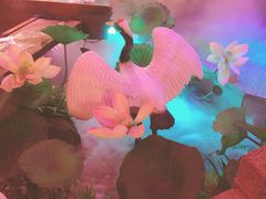 -韵秋荷(宝山龙湖天街店)