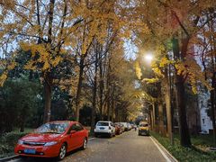 -西南交通大学(九里校区)