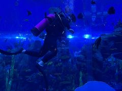 -石家庄极地海洋世界
