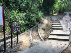 -狮子山郊野公园