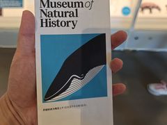 -美国自然历史博物馆