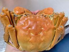 -阳澄湖大闸蟹·琼灵阁牌品牌连锁(吴中总店)