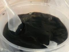 -鞠氏黑芝麻糊(水塔店)