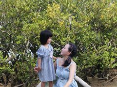 -东寨港红树林旅游区