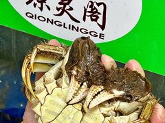 -阳澄湖大闸蟹·琼灵阁牌品牌连锁(吴中总店)