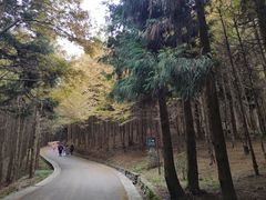 -山王坪喀斯特国家生态公园