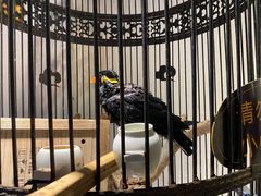 -清真·京华源铜锅涮肉(丰庆店)