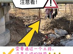 -绿堤公园