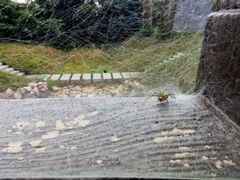 -青龙山国家森林公园