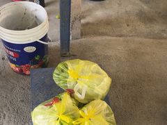 -马陆小张葡萄园农家乐