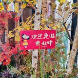 终于找到一家韩式街头感十足的烤肉店