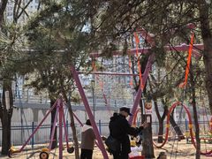 -长白岛森林公园