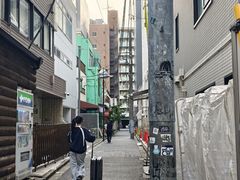-秋叶原电器街
