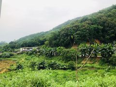 -天强农家菜馆