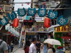 门面-猫咪博物馆(顶澳仔猫街店)