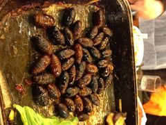蚕蛹-千纸鹤嫩汁烤肉(西大直街店)