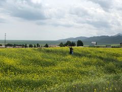 -扁都口生态休闲旅游区