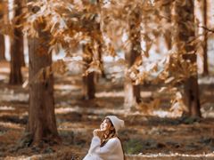 -黄海国家森林公园