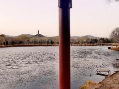 -北坞公园