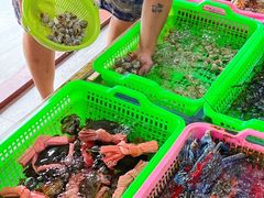 -众味海鲜大排档·活海鲜·潮汕味(南澳店)