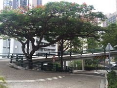 -香港大学