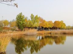 -永定河休闲森林公园