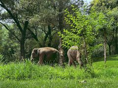 -北京野生动物园
