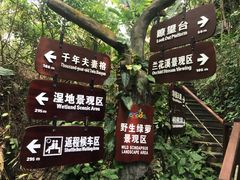 -呀诺达热带雨林