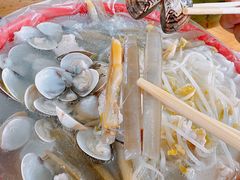 -红树林天天赶海