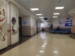 -上海市东方医院(总院)