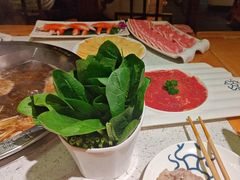 -大龙燚火锅