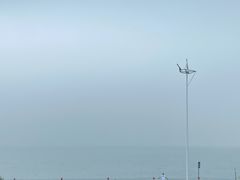 -美味之家·湖景农家乐(太湖东山店)