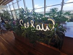 -Seesaw Coffee(朝阳大悦城店)