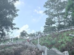 -白石龙音乐公园