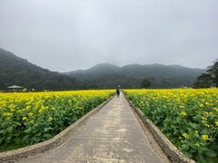 -广州市石门国家森林公园